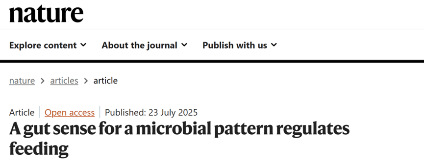 Appetite Remote Control in the Gut How Specific Microbiota Regulate Brain Feeding Behavior